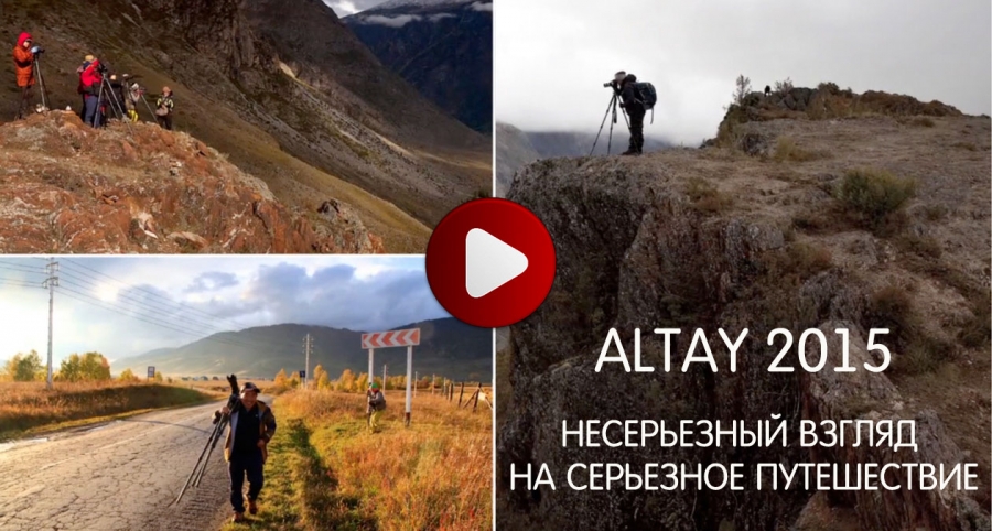 Altay 2015.
